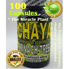 Chaya,Chaya 100 Caps, Mayan miracle plant, Chaya tree, organic spinach tree !!! 